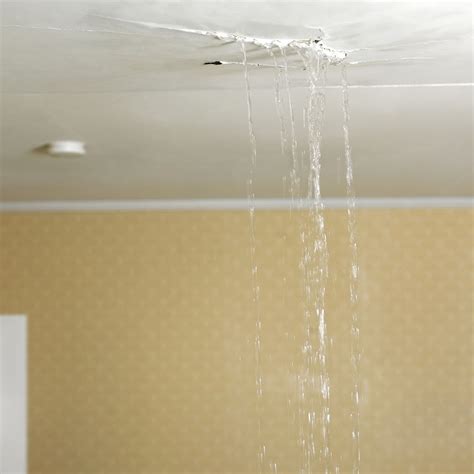 dream about ceiling leaking|Leaking Ceiling Dream Meaning: Decoding the。